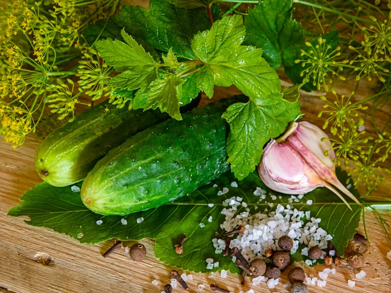огурцы, чеснок, соль, перец
