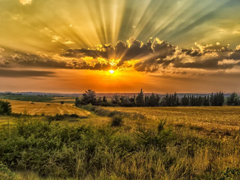пейзаж, природа, красота