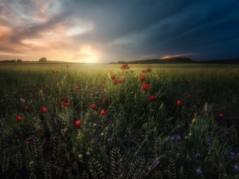 пейзаж, природа, красота