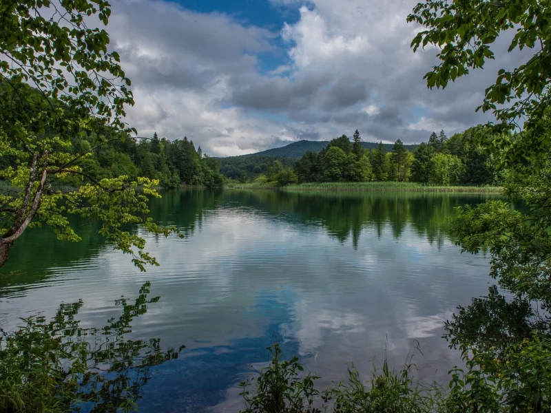 пейзаж, природа, красота