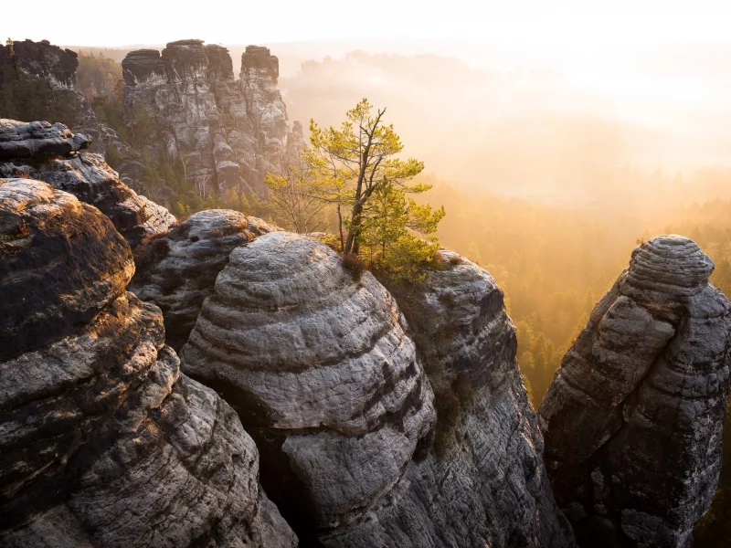 пейзаж, природа, красота