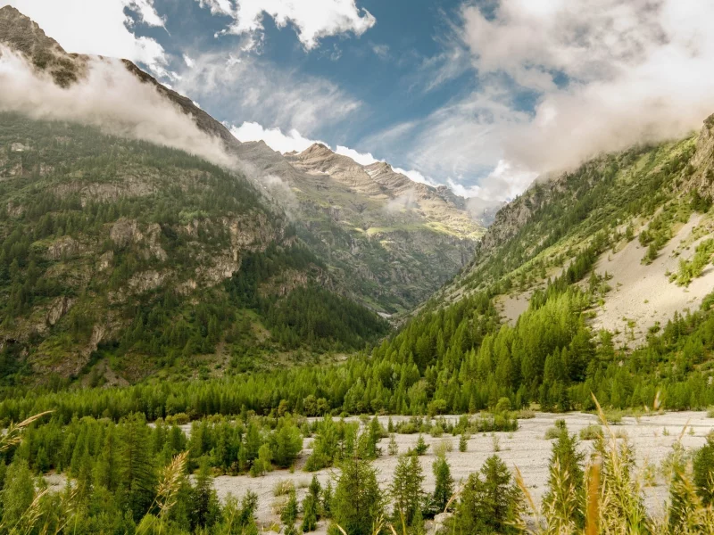 пейзаж, природа, красота