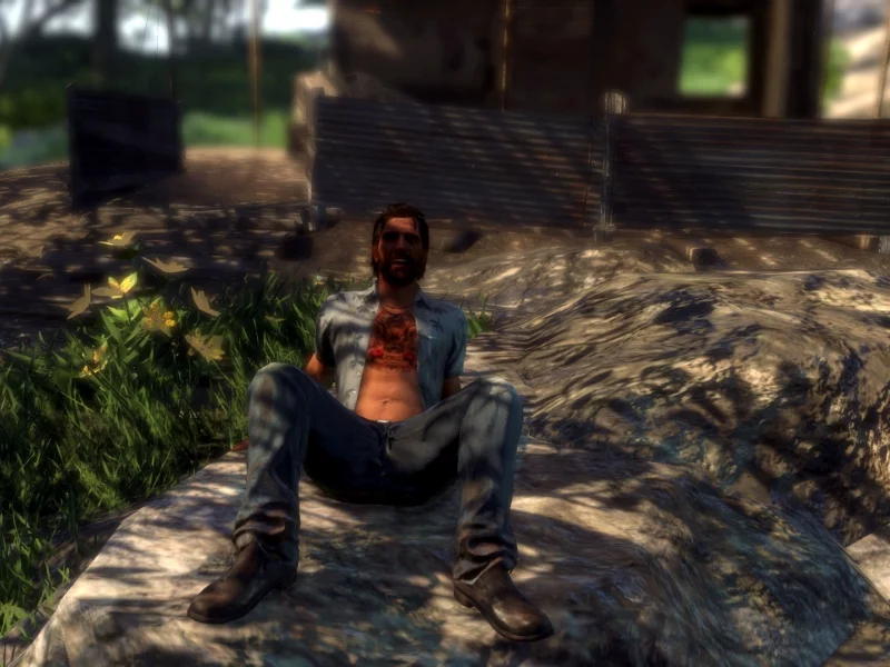 far cry 3, бак, сидит на камне