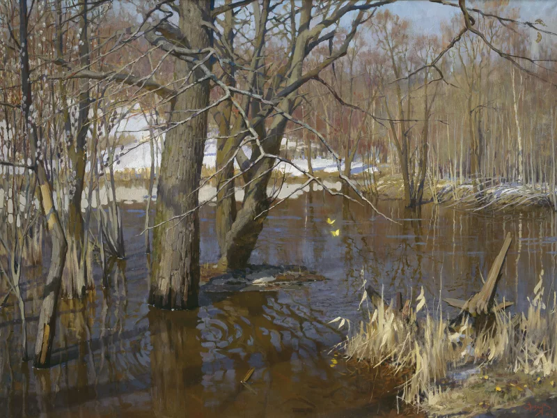 весна, разлив, вода