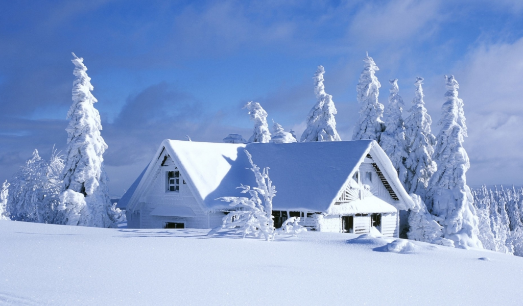 зима, снег, дом, домик, ель