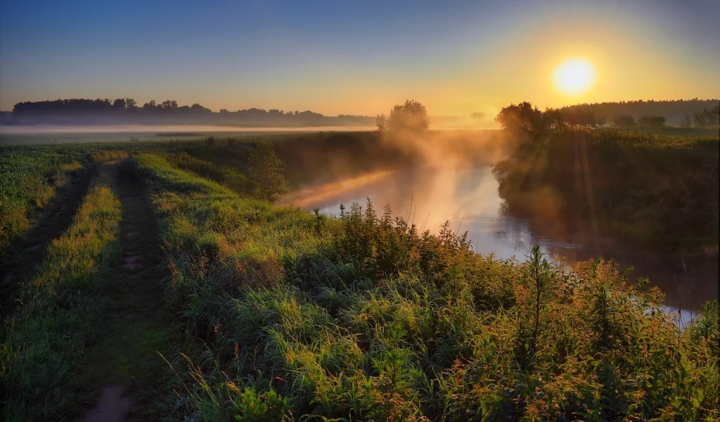 природа, лес, река, закат