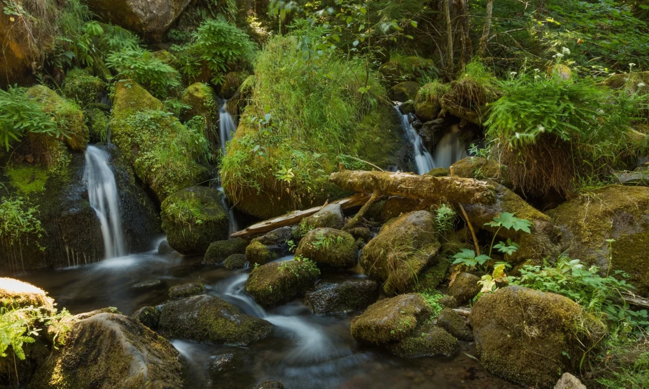 пейзаж, природа, красота