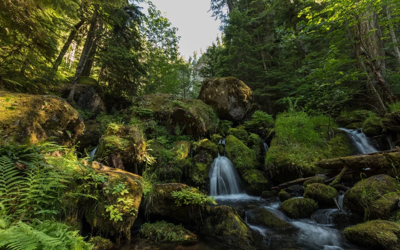 пейзаж, природа, красота