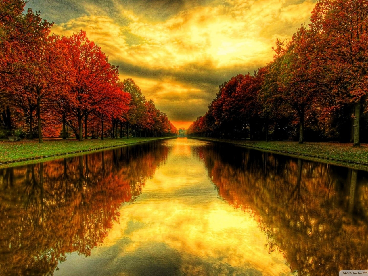 природа, осень, деревья, листья, пруд