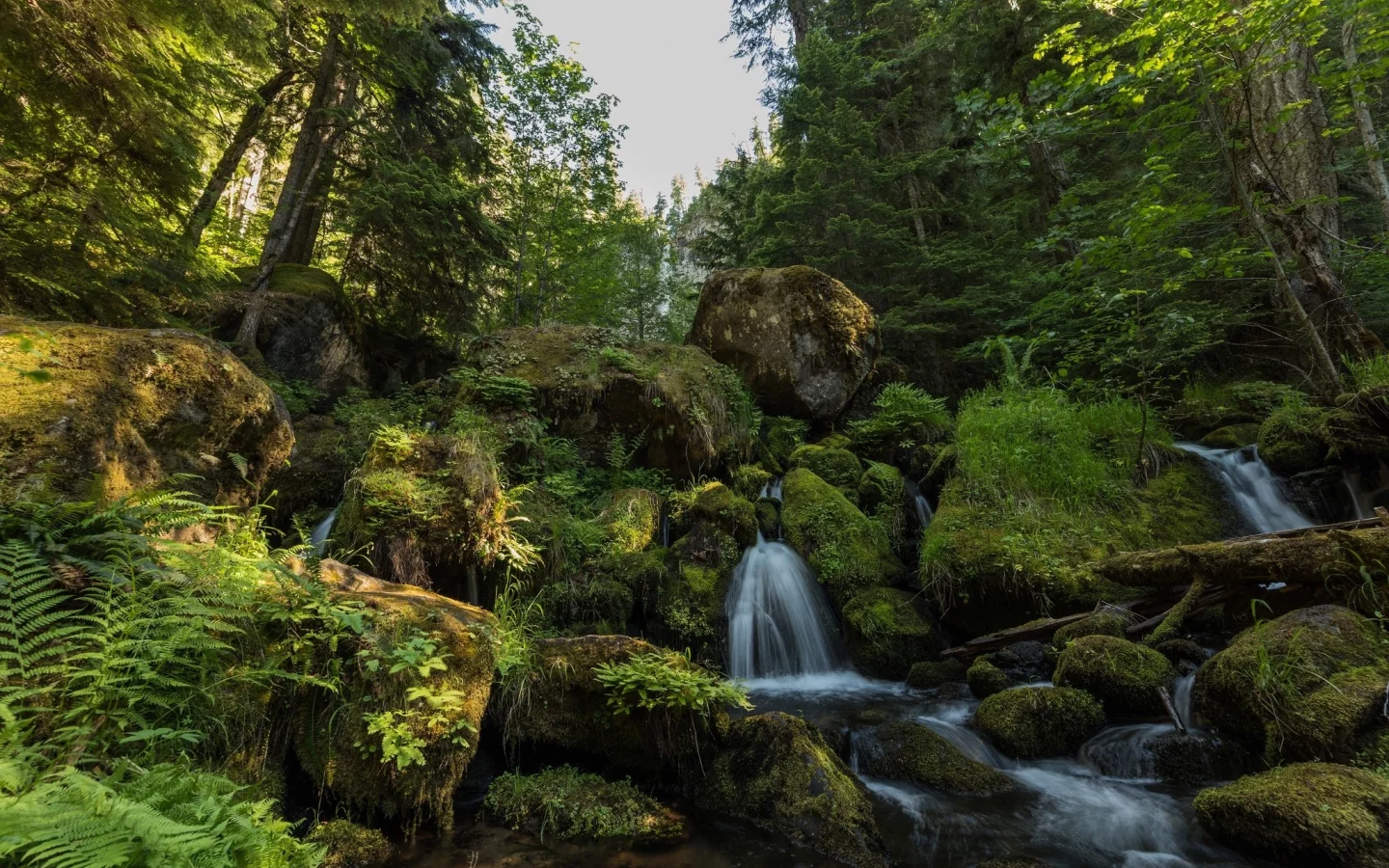 пейзаж, природа, красота