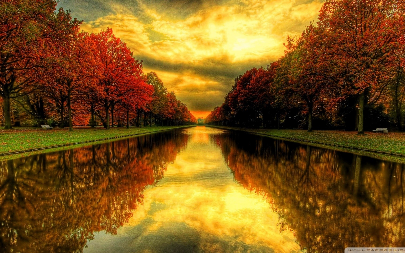 природа, осень, деревья, листья, пруд