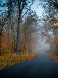 пейзаж, природа, красота