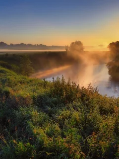 природа, лес, река, закат