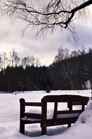 зима, снег, лавочка, дерево