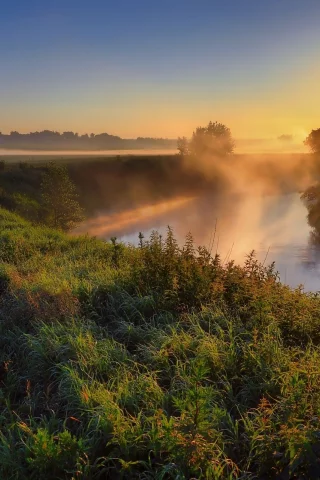 природа, лес, река, закат