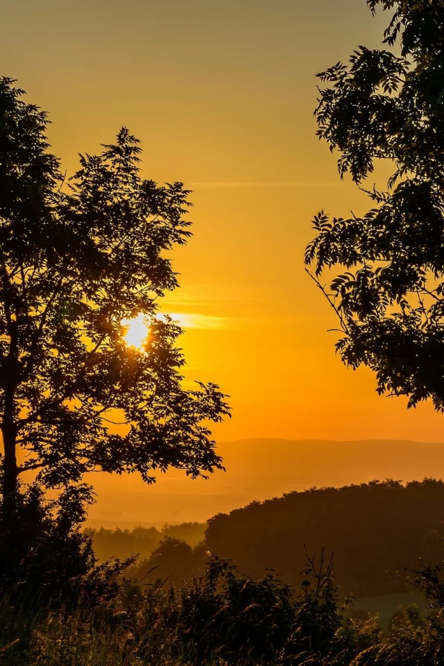 пейзаж, природа, красота