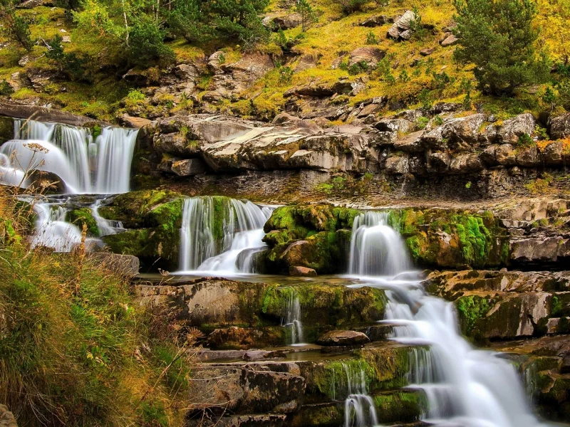 природа, лес, водопад