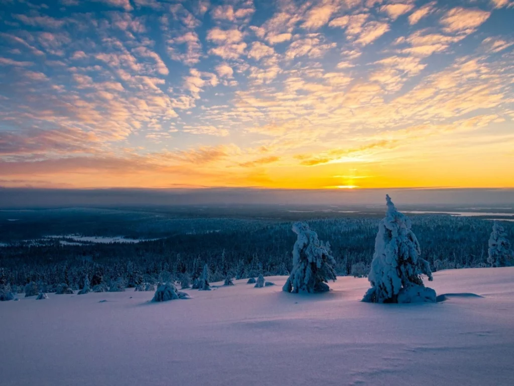зима, снег, деревья, рассвет