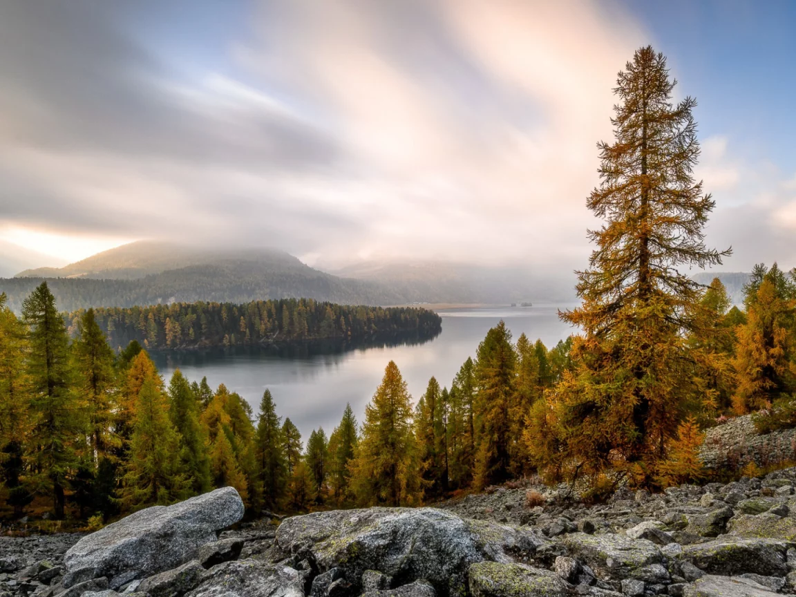 река, лес, деревья