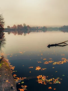 озеро, осень