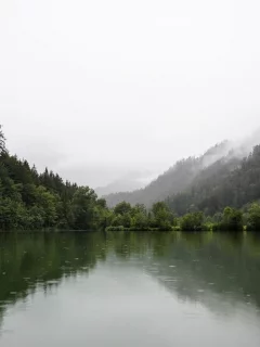 природа, лес, река
