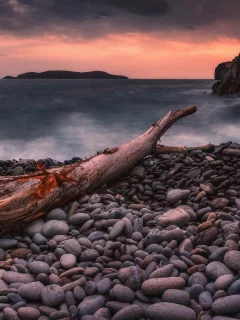 берег моря, камни, каряга