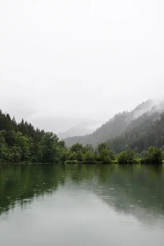природа, лес, река