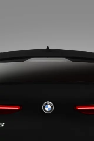 auto, bmw x6 v8