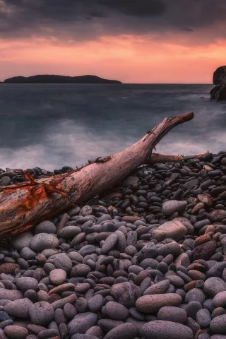 берег моря, камни, каряга