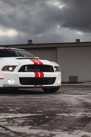 auto, ford mustang
