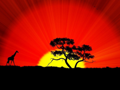 природа, африка, закат, жираф, дерево