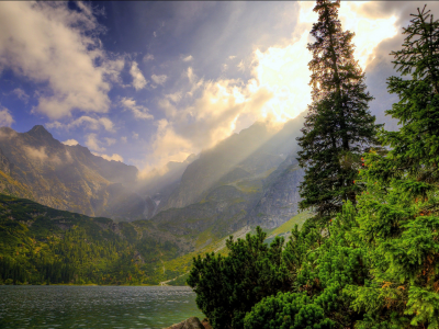 природа, лес, горы, озеро