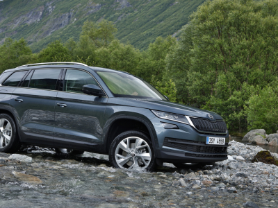 auto, skoda kodiaq