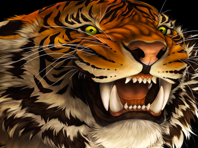 тигр, хищник, кошка, рисунок
