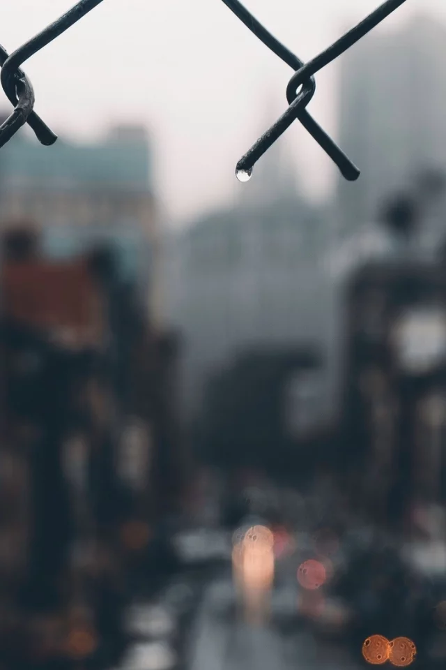 город, сетка, дождь