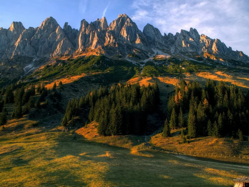 пейзаж, горы, лес