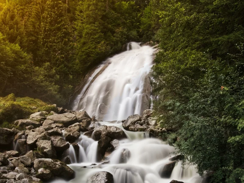 природа, лес, деревья, водопад, камни
