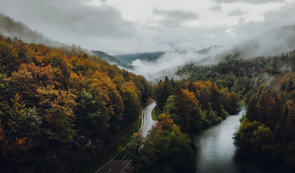 природа, лес, река, дорога, туман