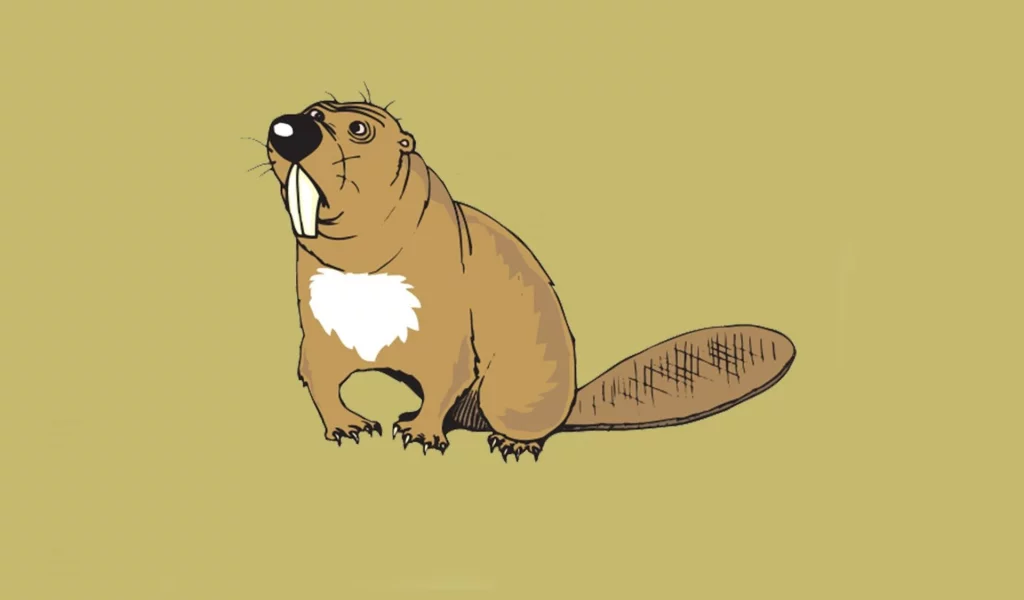 бобёр, арт, beaver