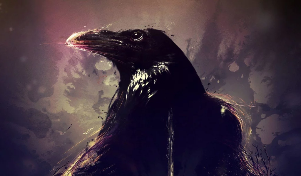птица, ворон, crows