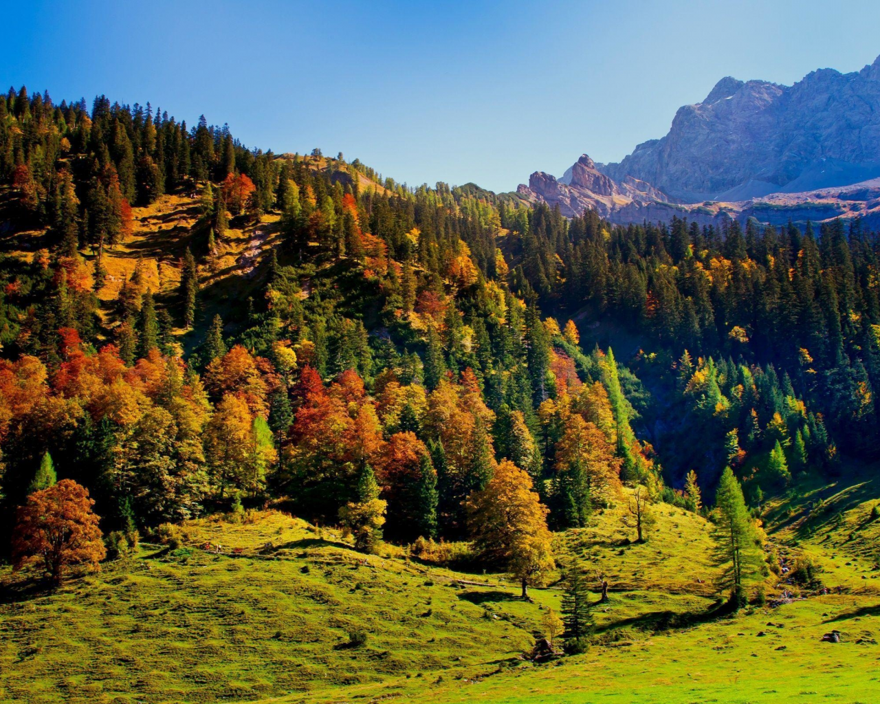 пейзаж, горы, лес, австрия, austria