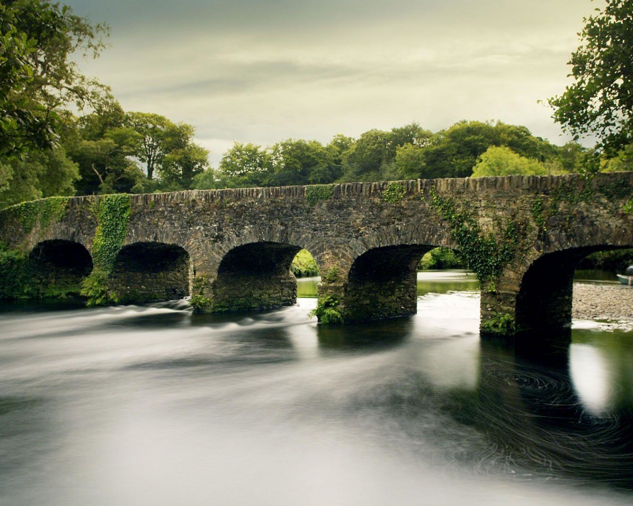 пейзаж, мост, река, лес, ирландия
