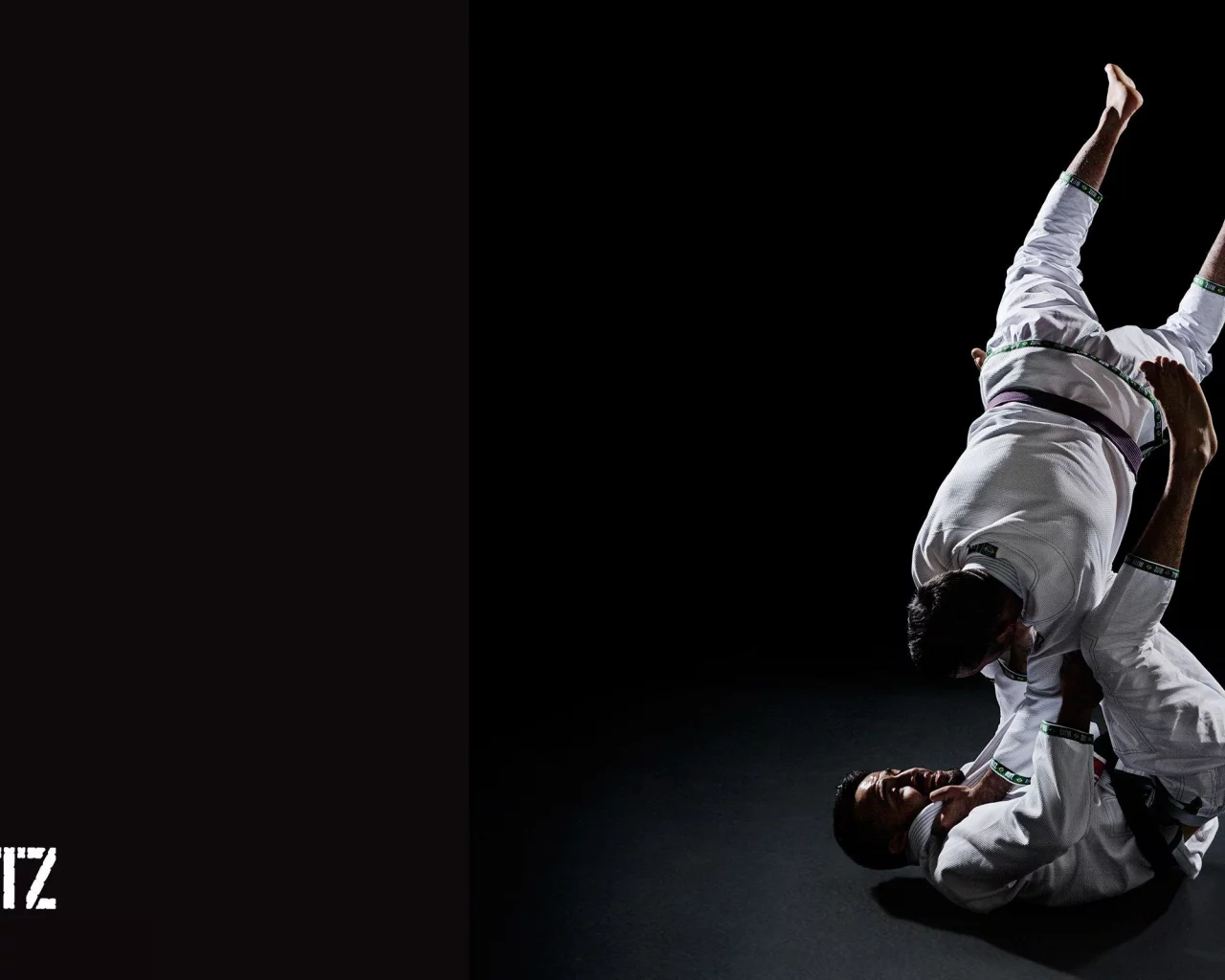 джиу джицу, ju jitsu, борьба, единоборство