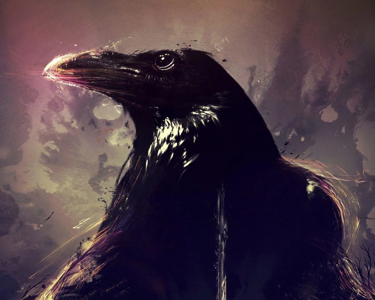 птица, ворон, crows