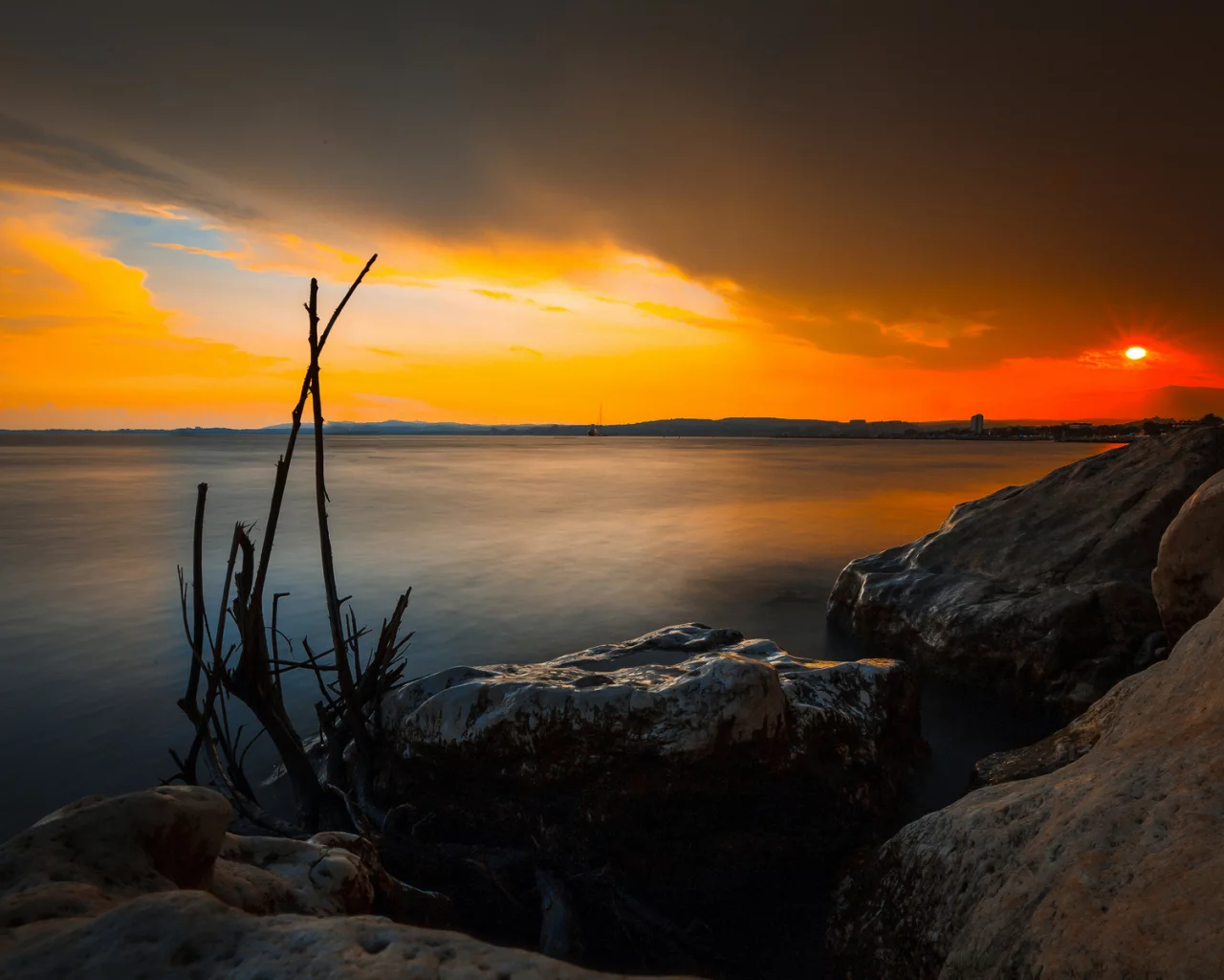 море, берег, ствол дерева