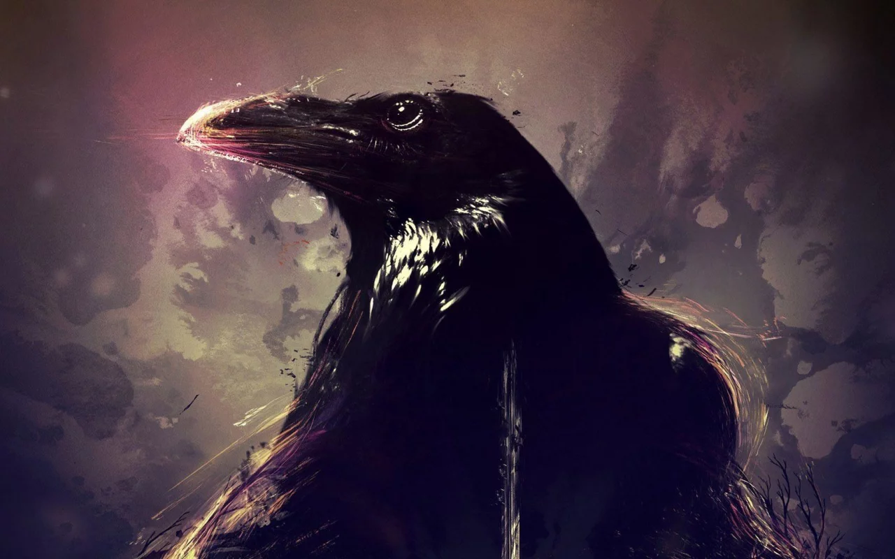 птица, ворон, crows