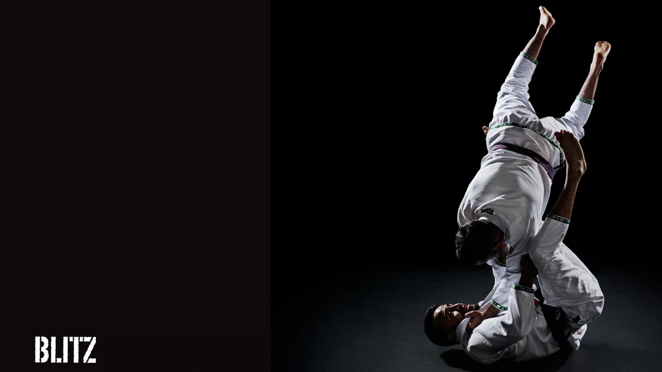 джиу джицу, ju jitsu, борьба, единоборство