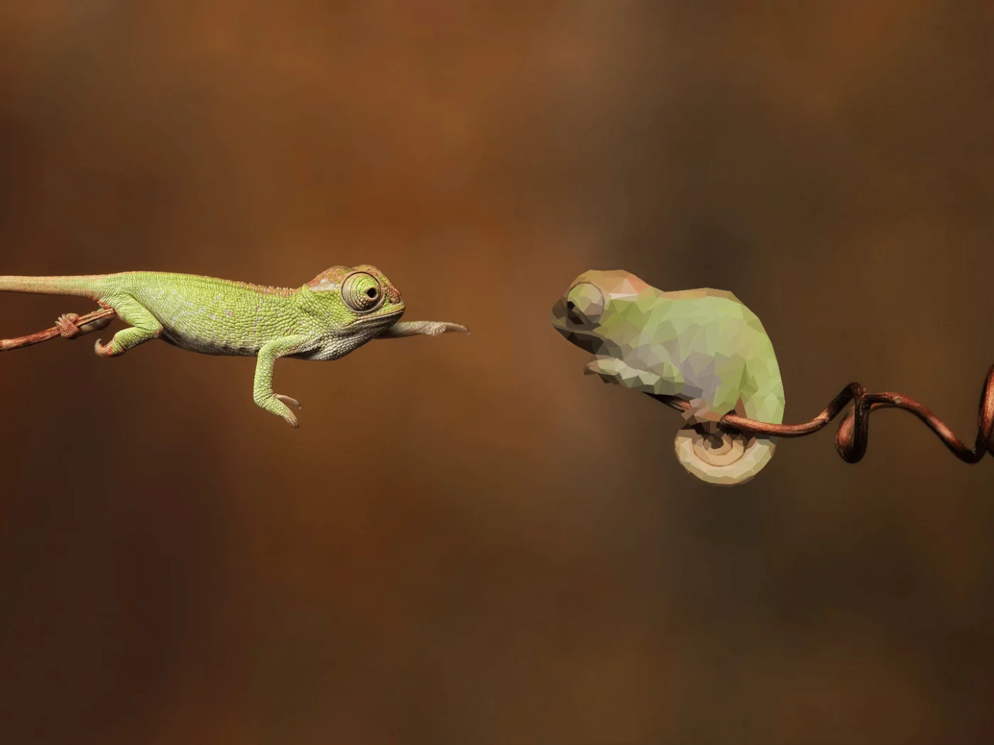 пресмыкающееся, хамелеон, chameleon