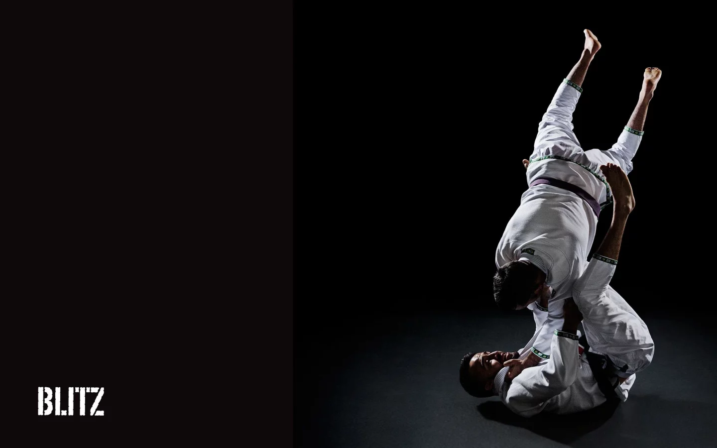 джиу джицу, ju jitsu, борьба, единоборство