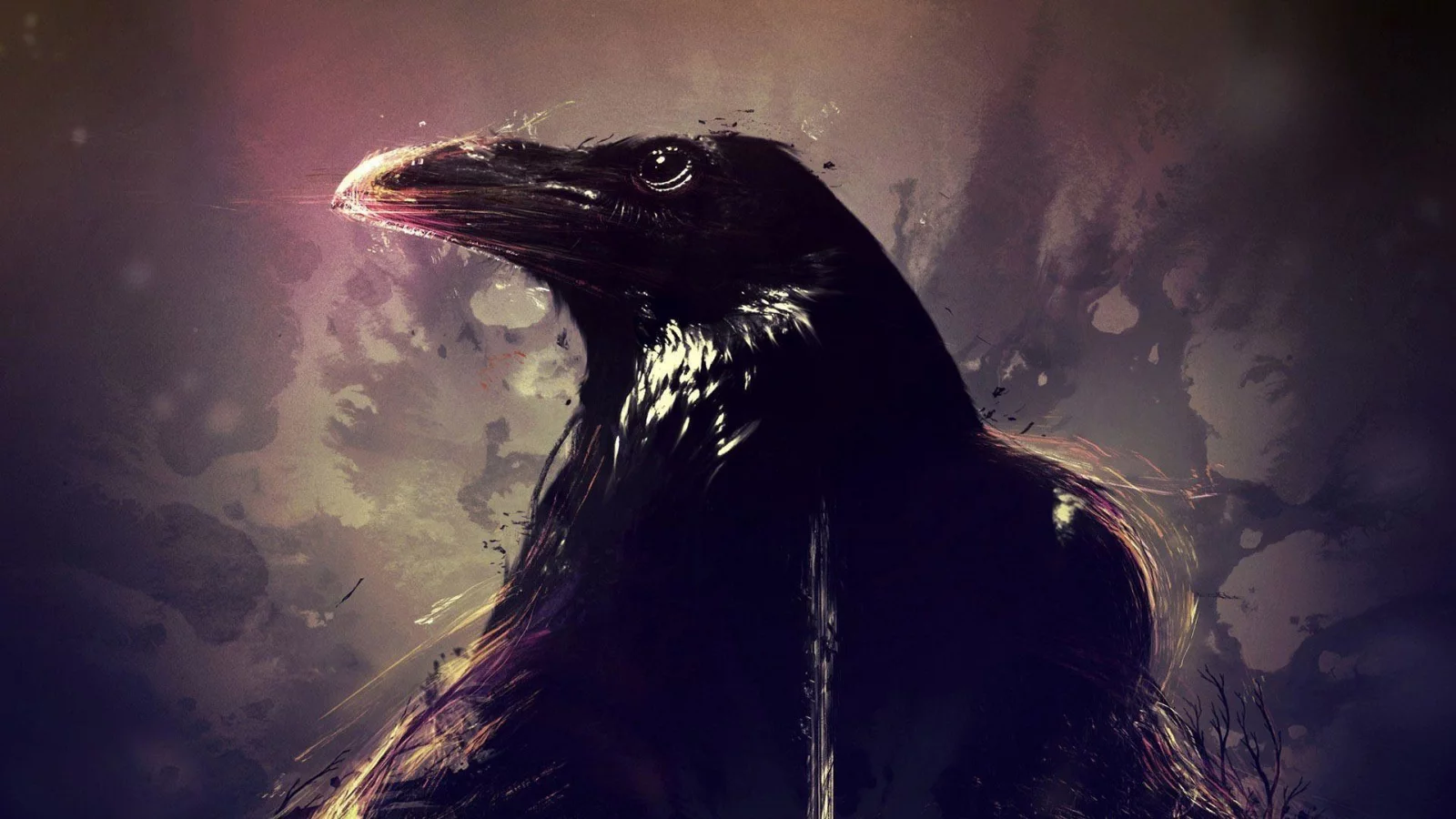 птица, ворон, crows